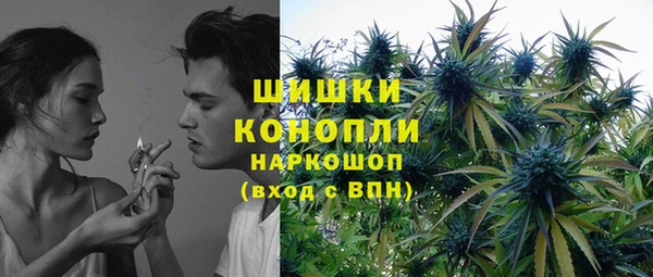 PSILOCYBIN Алзамай