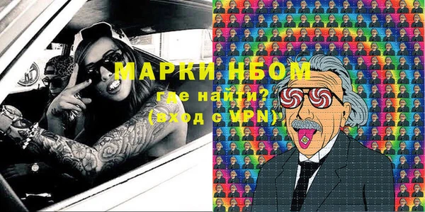 PSILOCYBIN Алзамай