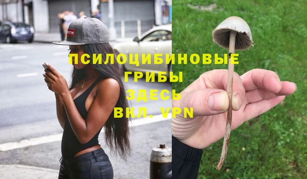 PSILOCYBIN Алзамай