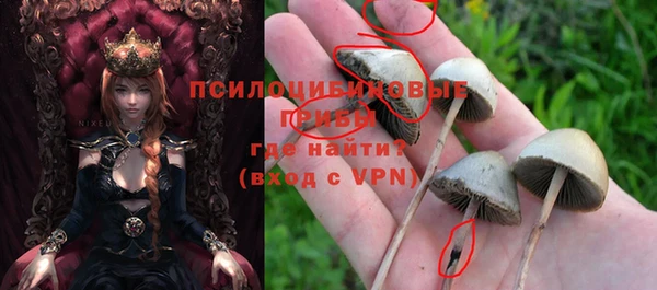 ешки Алексин