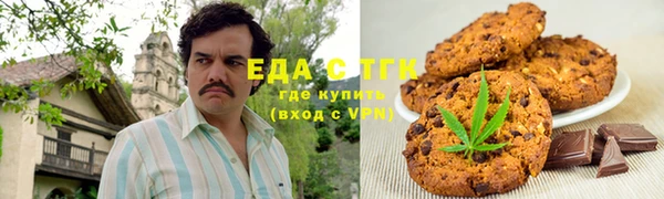 PSILOCYBIN Алзамай