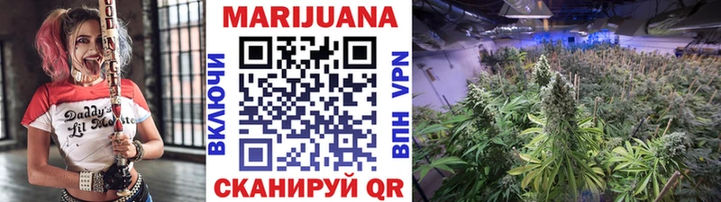 Шишки марихуана THC 21%  Сосновоборск 
